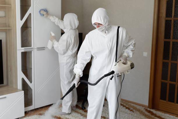 Mold Removal and Inspection in Tahoka, TX